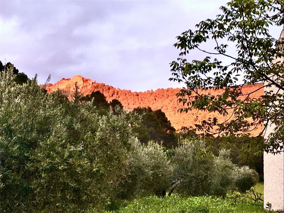 Siles Casa Rural Cortijo La Ajedrea מראה חיצוני תמונה