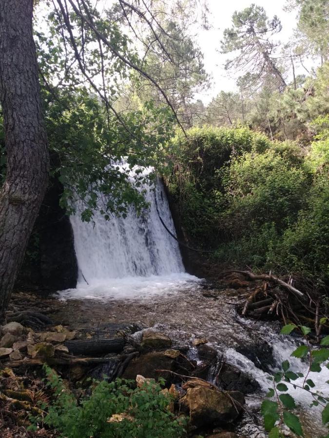 Siles Casa Rural Cortijo La Ajedrea מראה חיצוני תמונה
