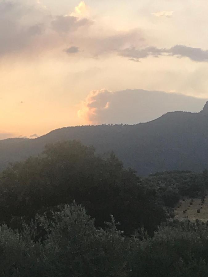 Siles Casa Rural Cortijo La Ajedrea מראה חיצוני תמונה